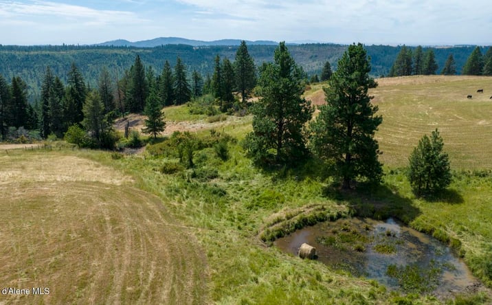 Pictures of Land property located at 1605 Jasmine Ln, Weippe, ID 83553 for sales - image #1