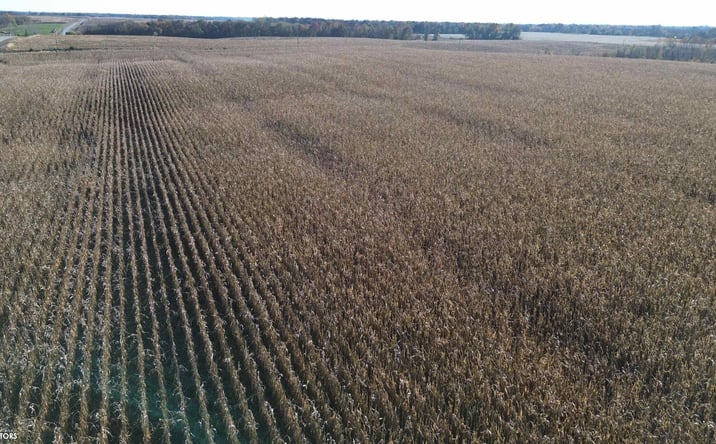 Pictures of Land property located at 32 A 160th Street, Bloomfield, IA 52537 for sales - image #1