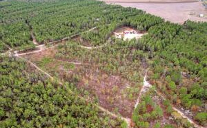 Pictures of Land property located at 27 Apple Jack Road, Batesburg-Leesville, SC 29006 for sales - image #1