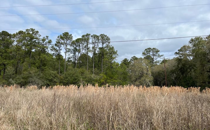 Pictures of Land property located at 522 Parris Island, Beaufort, SC 29906 for sales - image #1