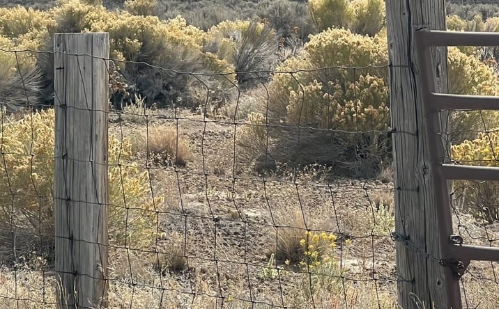 Pictures of Land property located at 2016 Pickering Avenue, Spring Creek, NV 89815 for sales - image #1