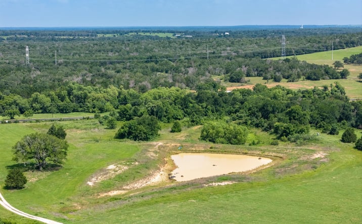 Pictures of Land property located at 1500 Co Rd 481, Thrall, TX 76578 for sales - image #1