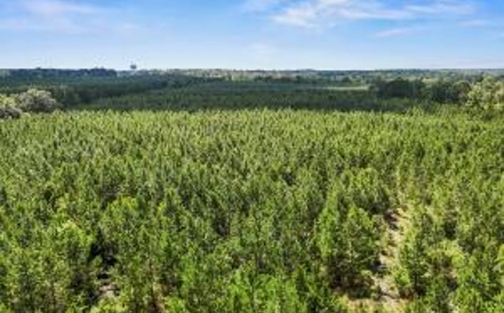Pictures of Land property located at Lot 1 Old 96 Indian Trail, Wagener, SC 29164 for sales - image #1