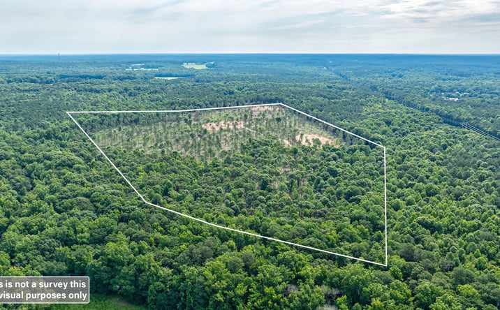 Pictures of Land property located at 0 Wilson Lane, Arnoldville, GA 30619 for sales - image #1