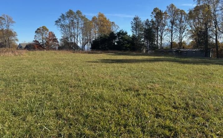 Pictures of Land, Multifamily property located at TBD Rhododendron Rd, Hillsville, VA 24343 for sales - image #1