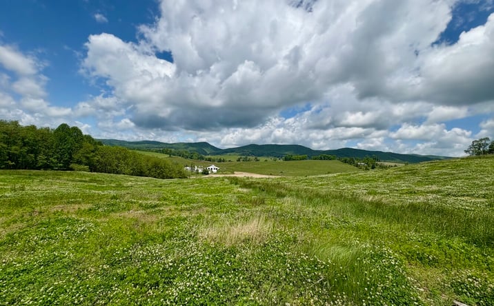 Pictures of Retail, Land property located at Horne Hollow Road, Sugar Grove, VA 24375 for sales - image #1