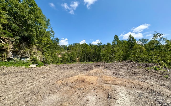 Pictures of Land property located at 00 Sandlick Rd, Saint Charles, VA 24282 for sales - image #1