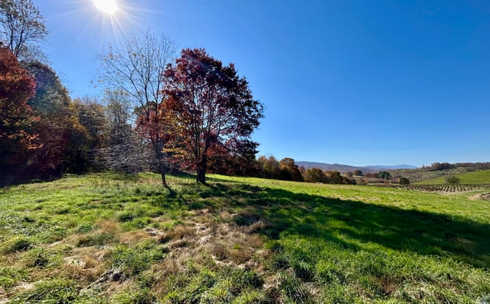 Pictures of Land property located at 0 Twilight Dr, Sugar Grove, VA 24375 for sales - image #1
