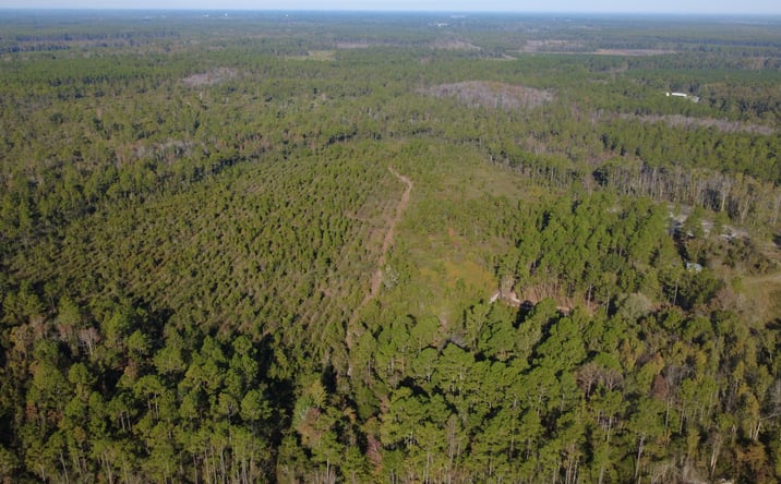 Pictures of Land property located at Fargo Hwy, Homerville, GA 31634 for sales - image #1
