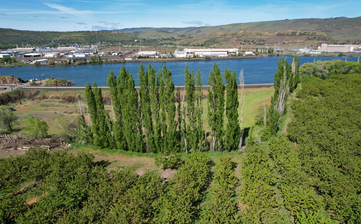 Pictures of Land property located at 715 Garden Lane, Dallesport, WA 98617 for sales - image #1