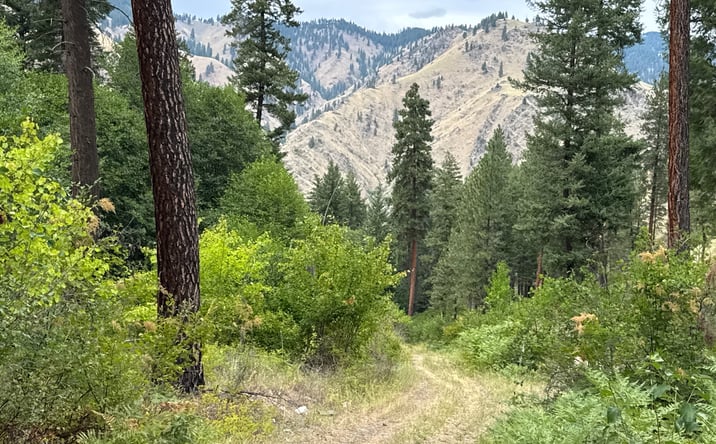Pictures of Land property located at Salmon River Road, Riggins, ID 83549 for sales - image #1