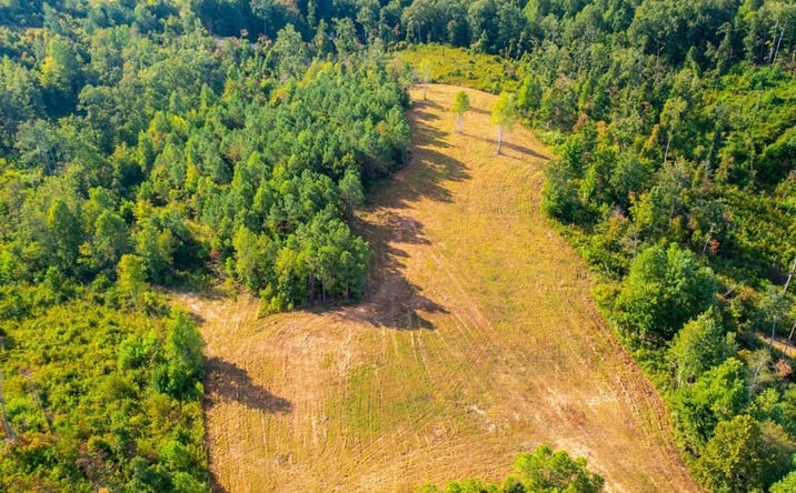 Pictures of Land property located at 0 Kro Hollow Rd, Hohenwald, TN 38462 for sales - image #1