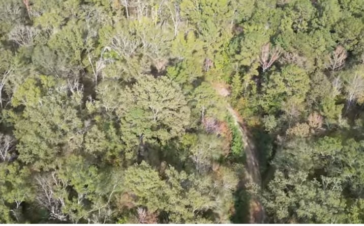 Pictures of Land property located at 0 Coon Hop Road, Hardaway, AL 36039 for sales - image #1