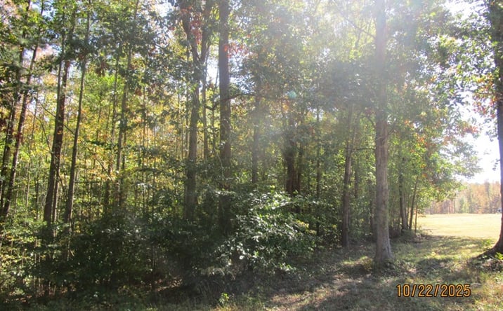 Pictures of Land property located at Pleasant Oak Road, Victoria, VA 23974 for sales - image #1