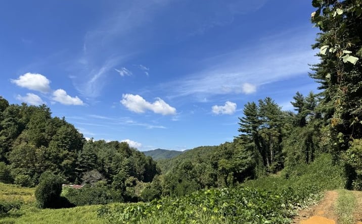 Pictures of Land property located at 2252 Cutshall Town Road, Marshall, NC 28753 for sales - image #1