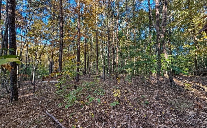Pictures of Land property located at 245 River View Drive, Buffalo Junction, VA 24529 for sales - image #1