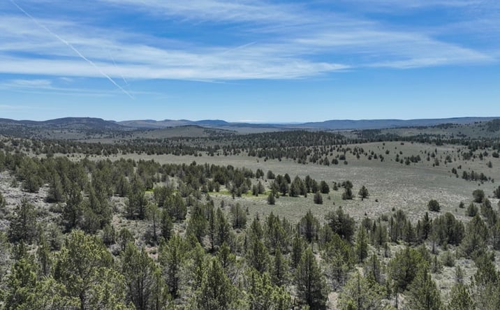 Pictures of Land property located at Tl 1100 Hines Logging Rd, Hines, OR 97738 for sales - image #1