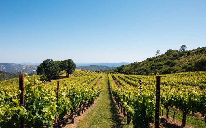 Pictures of Land, Special Purpose property located at 14335 Sonoma Hwy 12, Glen Ellen, CA 95442 for sales - image #1
