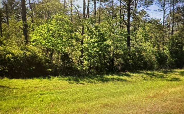 Pictures of Land property located at US Highway 171, Lake Charles, LA 70611 for sales - image #1