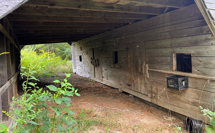 Pictures of Land property located at 3341 Stoney Fork Rd, Sneedville, TN 37869 for sales - image #1