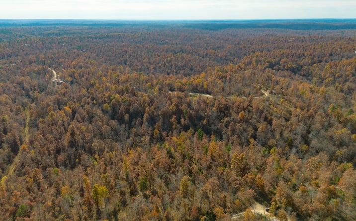 Pictures of Land property located at 15682 Winding Trail, Birch Tree, MO 65438 for sales - image #1