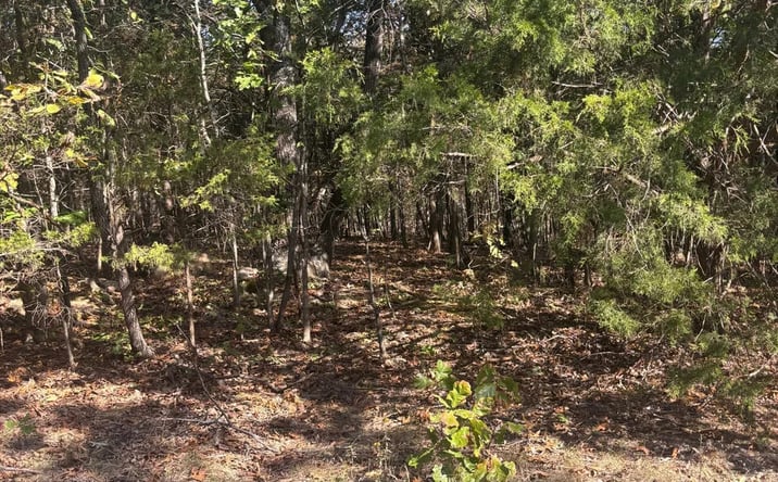 Pictures of Land property located at 2 MO-72, Fredericktown, MO 63645 for sales - image #1