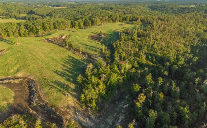 Pictures of Land property located at 000 Dixon Road, Licking, MO 65542 for sales - image #1