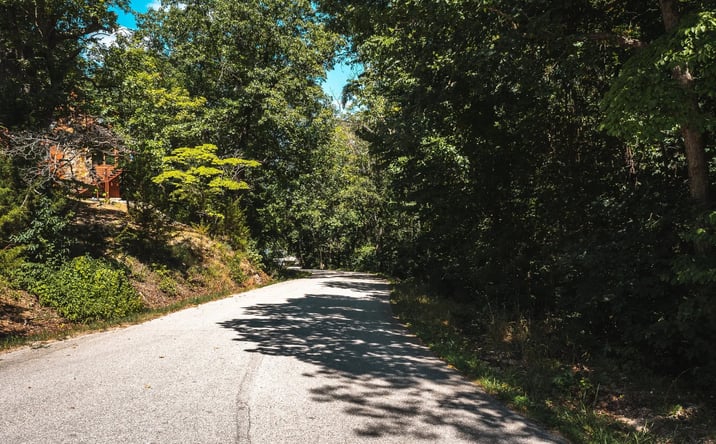 Pictures of Land property located at Lake Road AA109, Roach, MO 65787 for sales - image #1