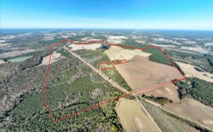 Pictures of Land property located at Dothan Road, Dillon, SC 29536 for sales - image #1