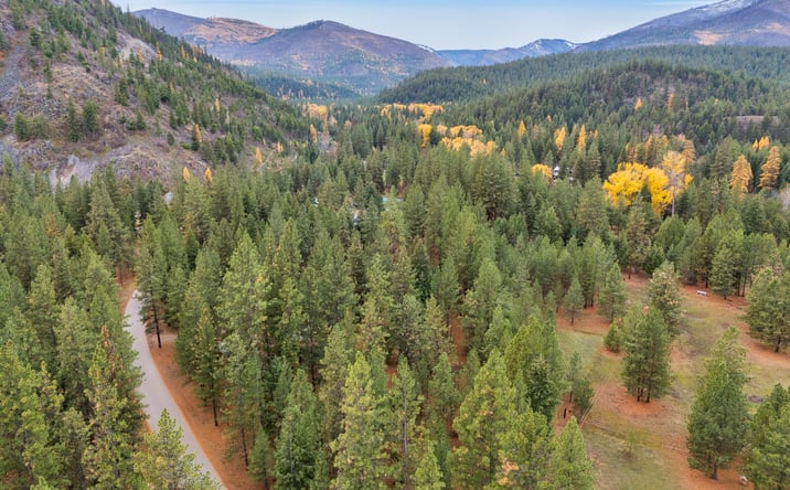 Pictures of Land property located at Nhn Swamp Creek Road, Plains, MT 59859 for sales - image #1