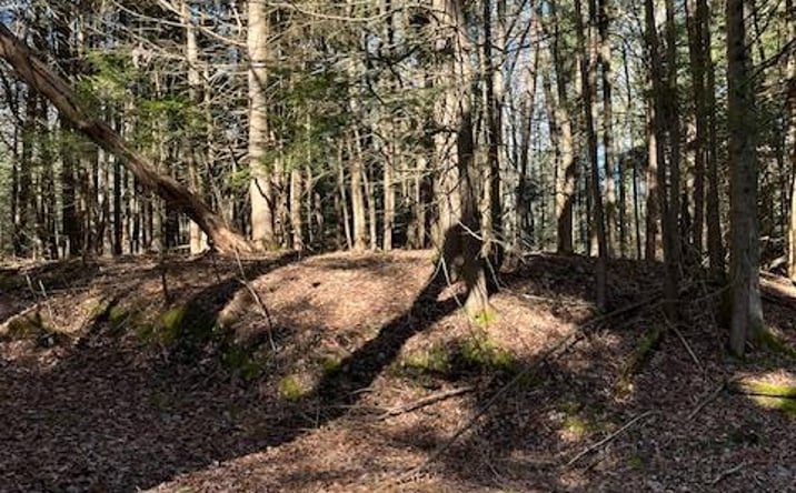 Pictures of Land property located at 198 W Starlight Drive, Bethel, NY 12778 for sales - image #1