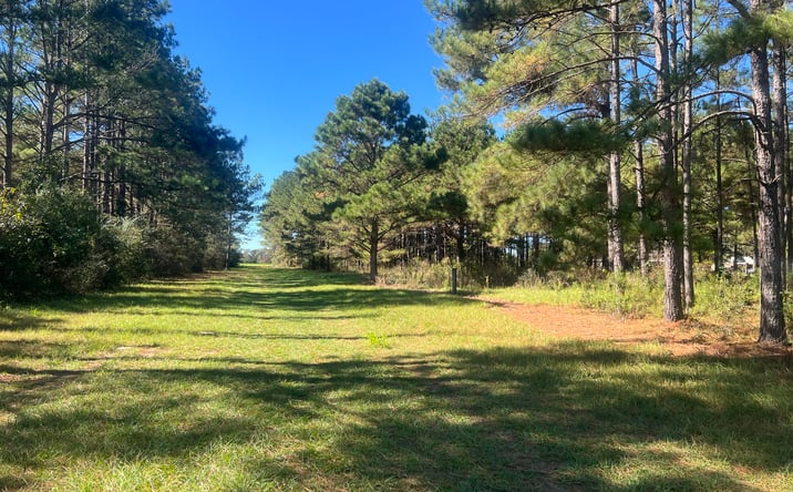 Pictures of Land property located at 4900 Block Hwy 97, Walnut Hill, Fl, Walnut Hill, FL 32568 for sales - image #1