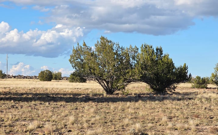 Pictures of Land property located at 293;294 Arizona Road, Ash Fork, AZ 86320 for sales - image #1