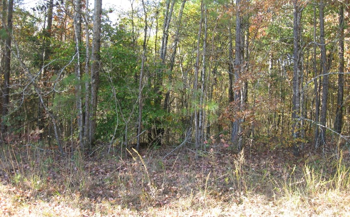 Pictures of Land property located at Scarce Creek Rd, Lexington, TN 38351 for sales - image #1