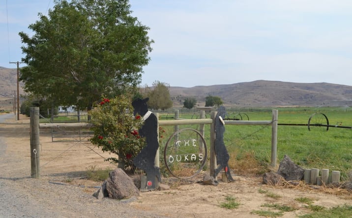 Pictures of Land property located at 480-100 Belfast Rd, Litchfield, CA 96117 for sales - image #1