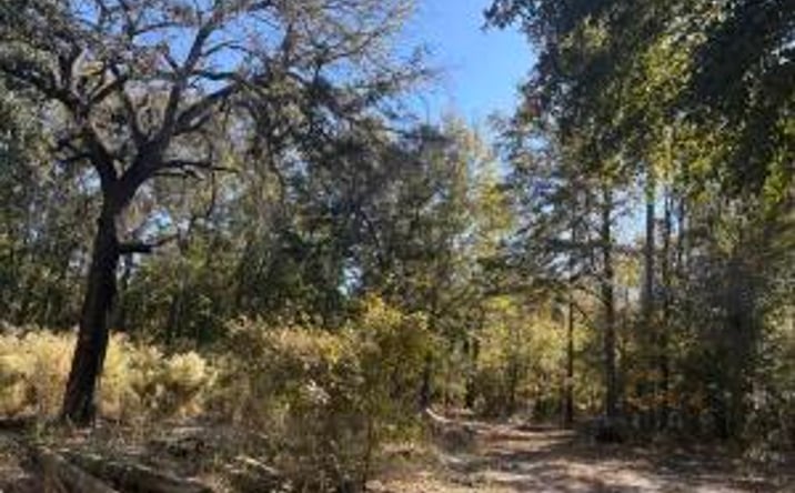 Pictures of Mixed Use property located at Xxx Sturgeon Road, Barnwell, SC 29812 for sales - image #1