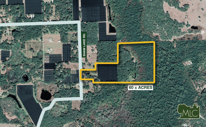 Pictures of Land property located at Shaw Lake Rd, Pierson, FL 32180 for sales - image #1