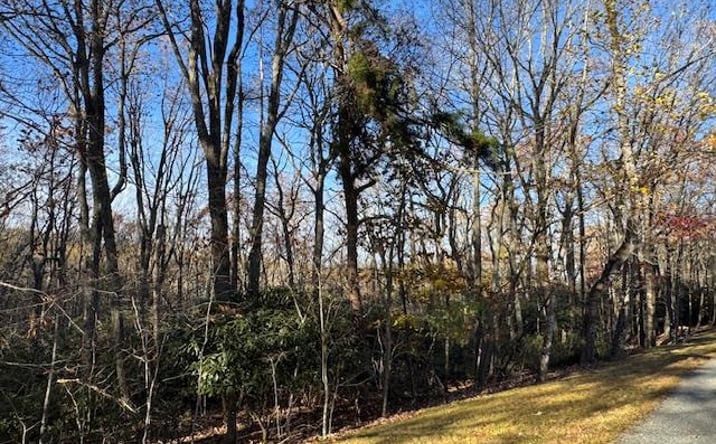 Pictures of Land, Multifamily property located at TBD Crooked White Oak Tr, Hillsville, VA 24343 for sales - image #1