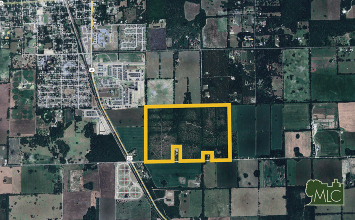 Pictures of Land property located at SW 30th Ave, Newberry, FL 32669 for sales - image #1