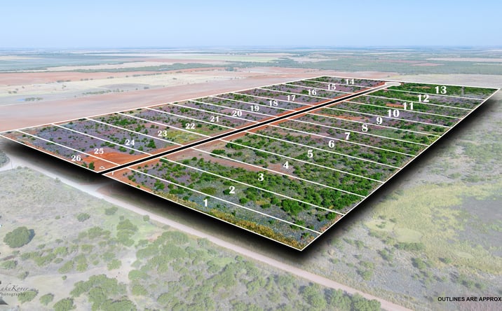 Pictures of Land property located at 9700 Co Rd 364, Anson, TX 79501 for sales - image #1