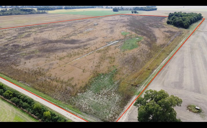 Pictures of Land property located at County Road 512, East Prairie, MO 63845 for sales - image #1