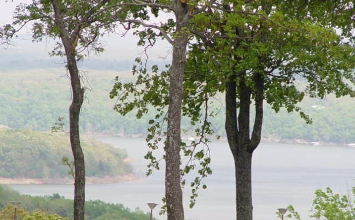 Pictures of Land property located at Kelsey Drive, Park Hill, OK 74451 for sales - image #1
