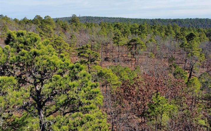 Pictures of Land property located at Wagon Wheel, Haileyville, OK 74546 for sales - image #1