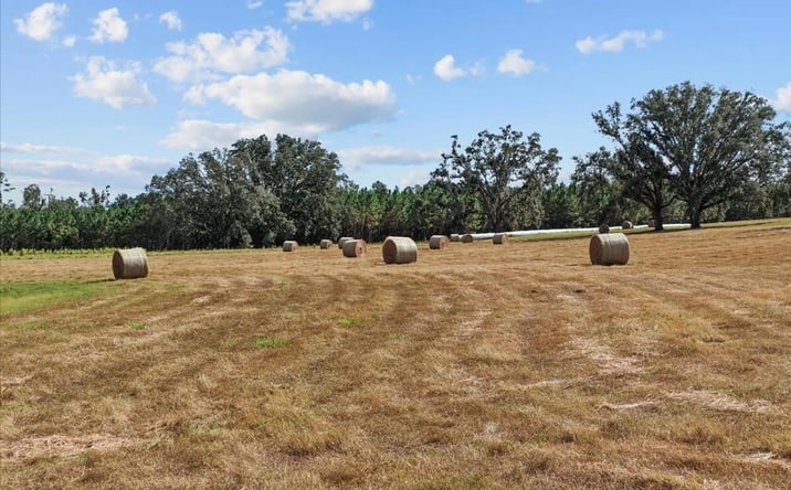 Pictures of Land property located at Vacant SW CR 360A, Madison, FL 32340 for sales - image #1