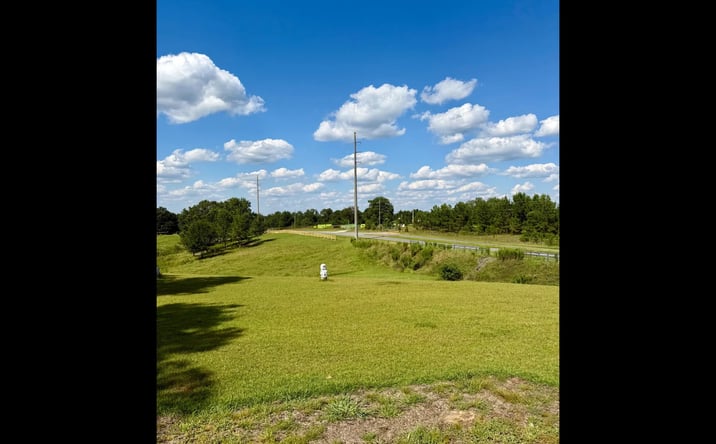 Pictures of Land property located at 213 fairgrounds blvd, Warner Robins, GA 31093 for sales - image #1