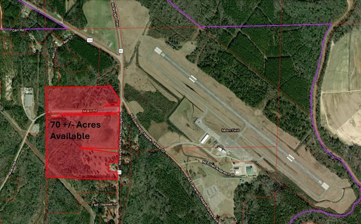 Pictures of Land property located at 0 NE Notasulga Road, Tuskegee, AL 36083 for sales - image #1