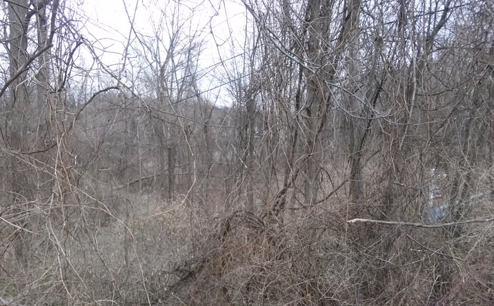 Pictures of Land property located at 3050 Outer Dr E, Detroit, MI 48234 for sales - image #1