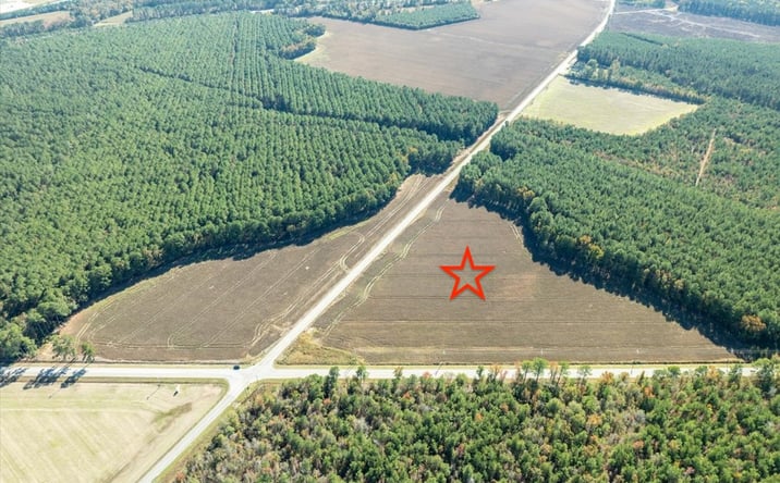 Pictures of Land property located at Highway 34 and Dothan Road, Dillon, SC 29536 for sales - image #1
