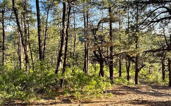 Pictures of Land property located at TBW W Hwy 160, Durango, CO 81301 for sales - image #1