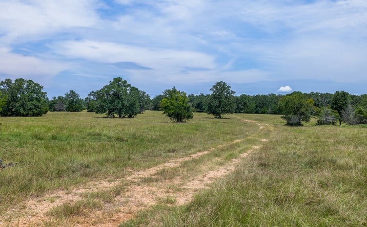 Pictures of Land property located at 17403 FM974, Bryan, TX 77808 for sales - image #1